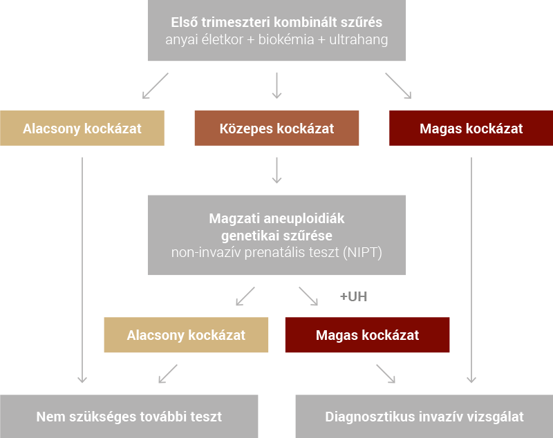 A kombinált teszt lehetséges eredményei (folyamatábra) A kombinált teszt lehetséges eredményei: alacsony, közepes és magas kockázat, majd NIPT és invazív vizsgálat